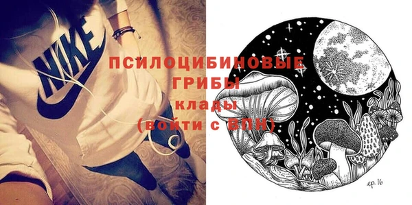 хмурый Надым