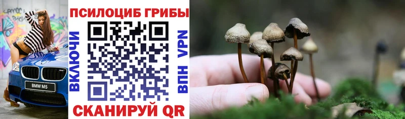 Галлюциногенные грибы мухоморы Ковдор