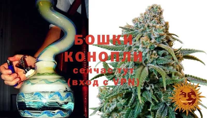 закладка  omg ссылки  Шишки марихуана SATIVA & INDICA  Ковдор 